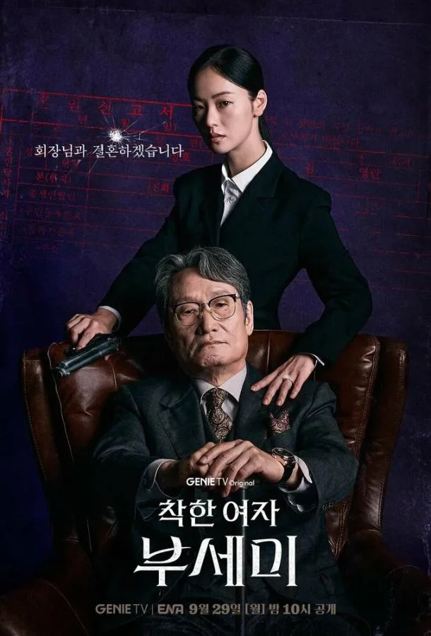 Госпожа Инкогнито / Хорошая женщина Бу Се Ми 1 сезон, 1-10,11,12 серии смотреть сериал онлайн